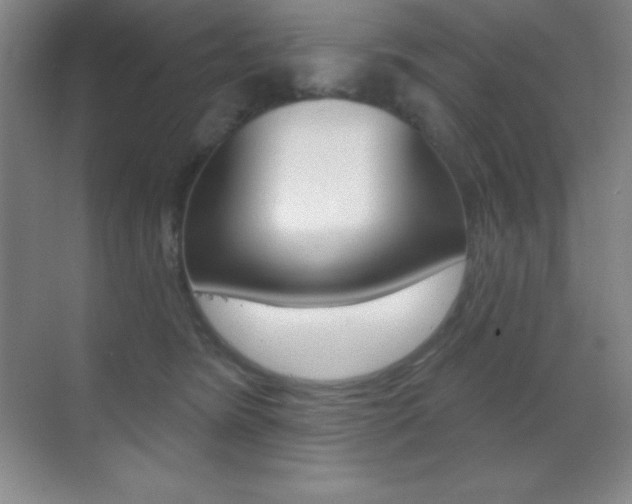 X0000070240420200606020938
