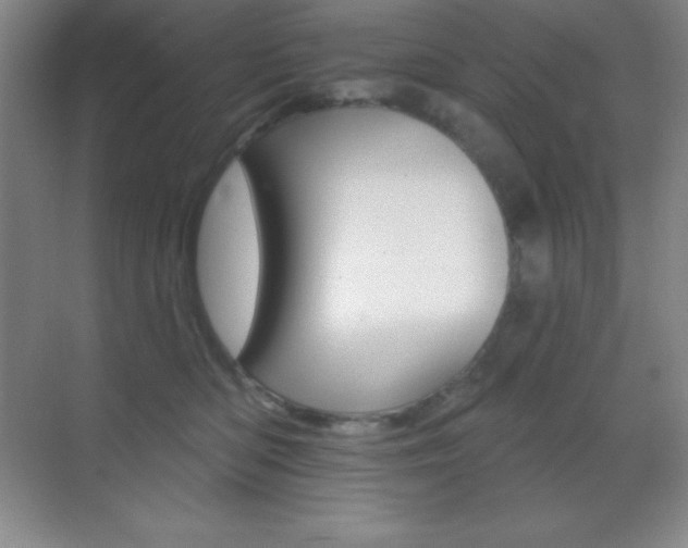X0000070240422200606020938