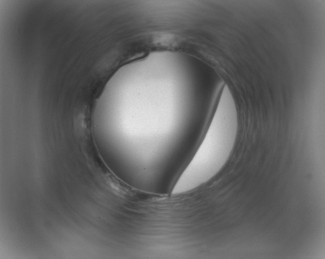 X0000070240424200606020937