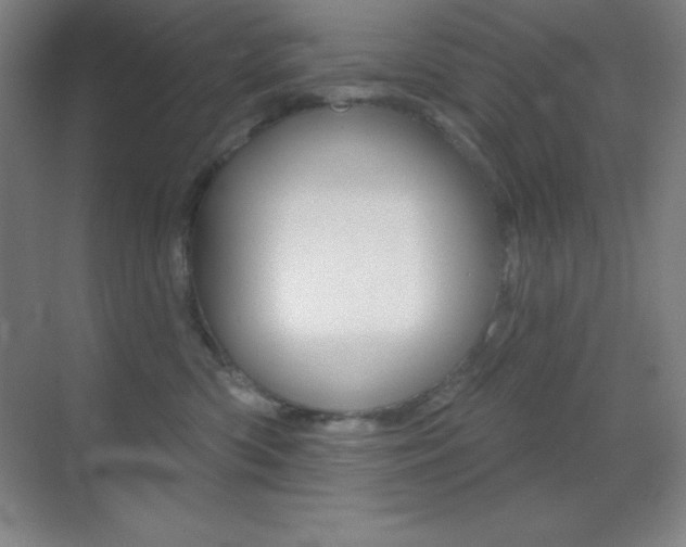 X0000070240426200606020937