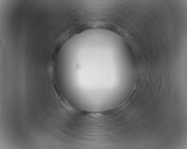 X0000070240427200606020937