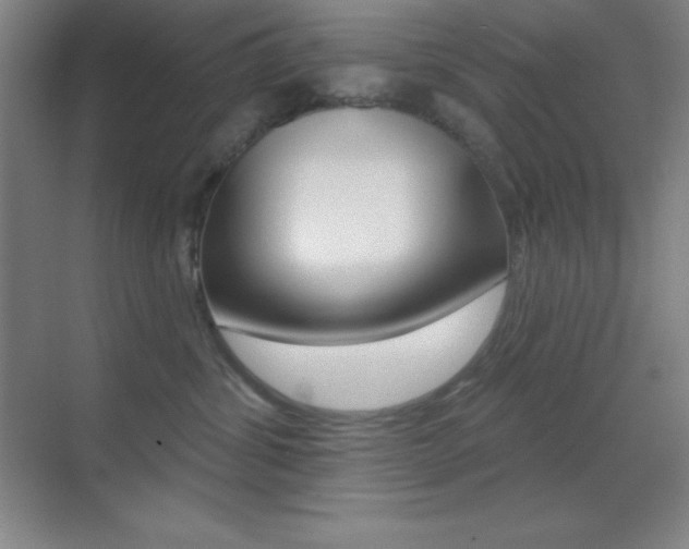 X0000070240428200606020937