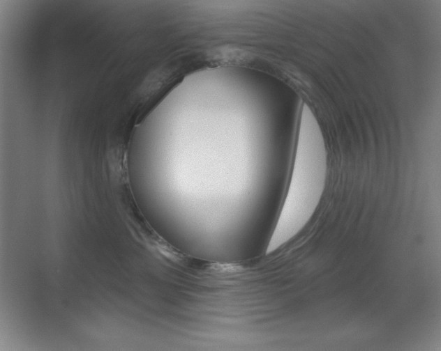 X0000070240429200606020937