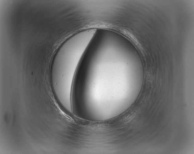 X0000070240433200606020937