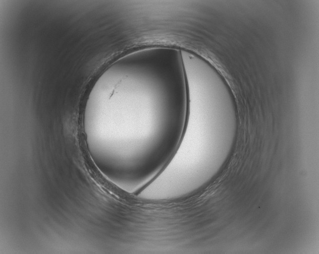 X0000070240434200606020937