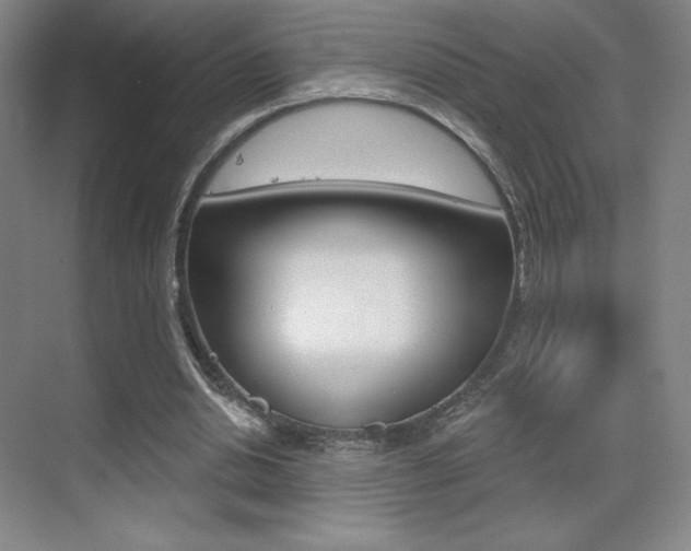 X0000070240438200606020937