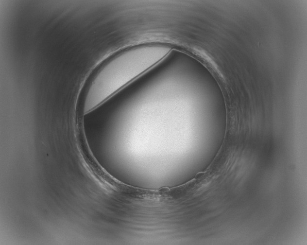 X0000070240439200606020937