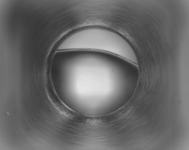 X0000070240440200606020937