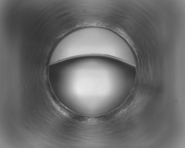 X0000070240441200606020937