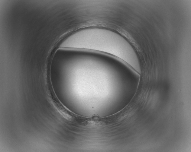 X0000070240442200606020937