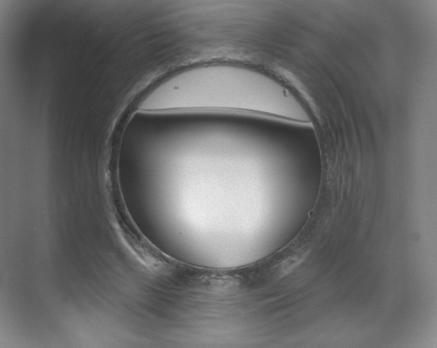 X0000070240443200606020937