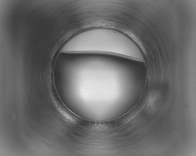 X0000070240445200606020937