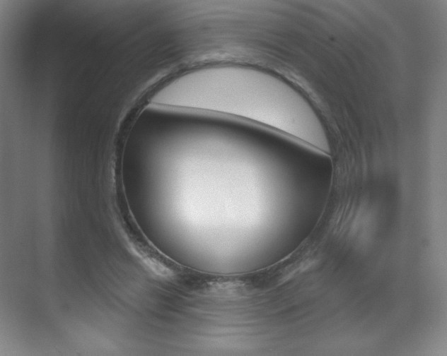 X0000070240446200606020937