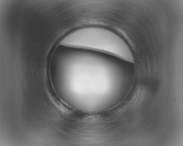 X0000070240447200606020937