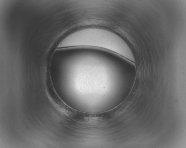 X0000070240448200606020937