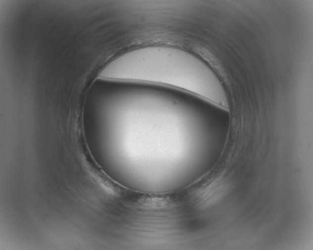 X0000070240449200606020937