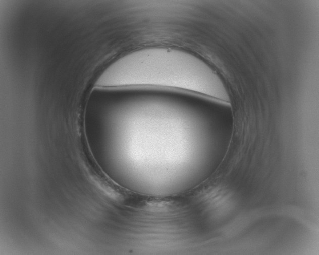 X0000070240450200606020937