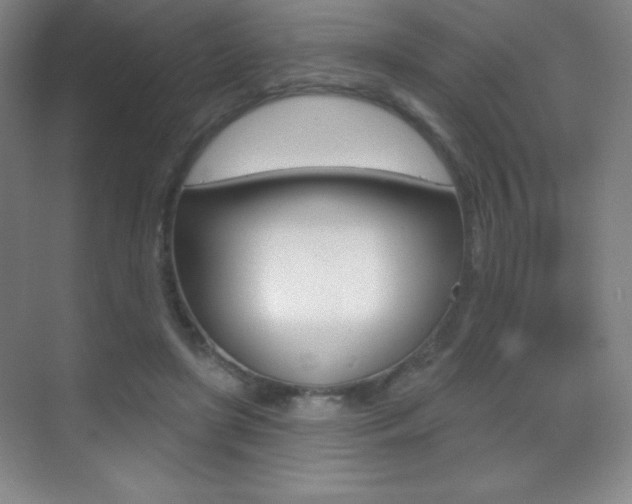 X0000070240451200606020937