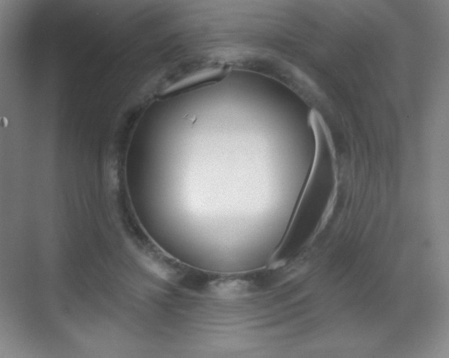 X0000070240452200606020937