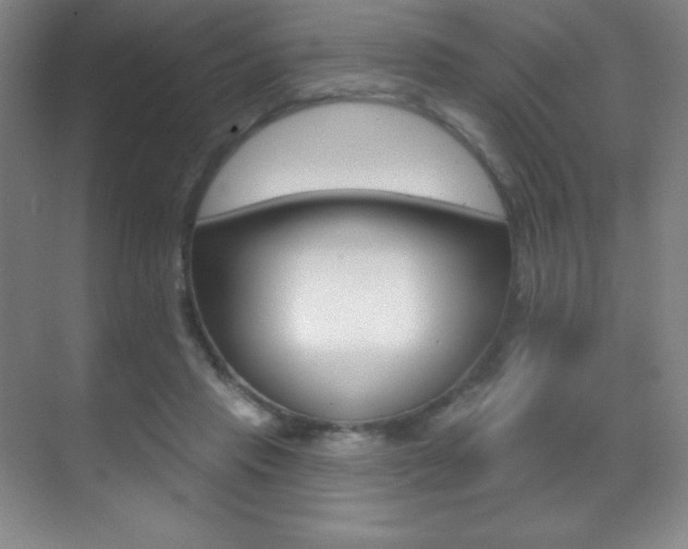 X0000070240453200606020937