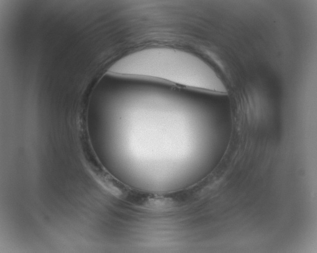 X0000070240455200606020937
