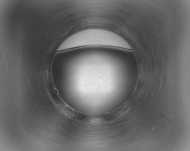 X0000070240456200606020937