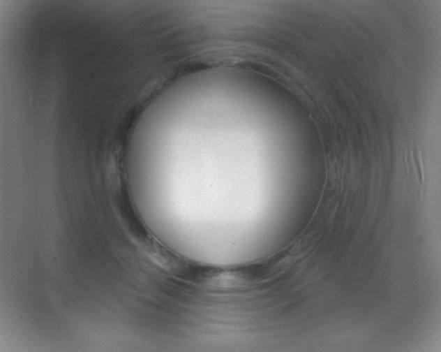 X0000070240460200606020937