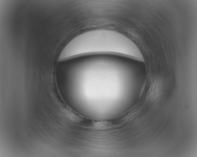 X0000070240461200606020937
