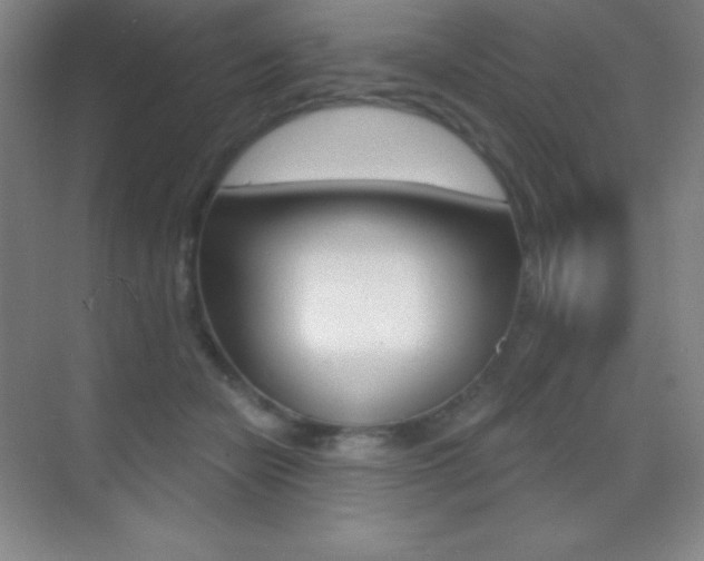 X0000070240462200606020937