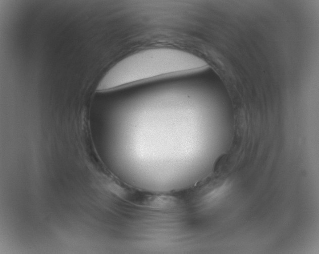 X0000070240463200606020937