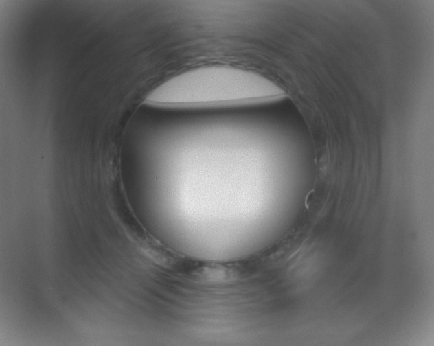 X0000070240464200606020937
