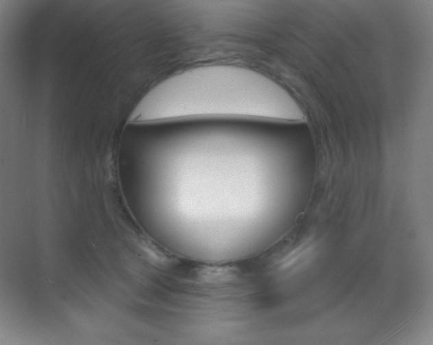 X0000070240465200606020937