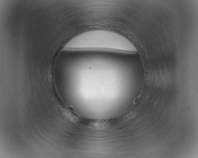 X0000070240466200606020937