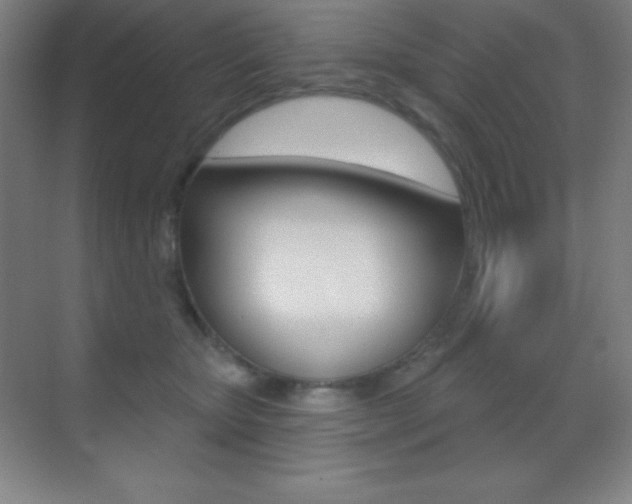 X0000070240467200606020937