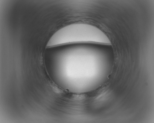 X0000070240469200606020937