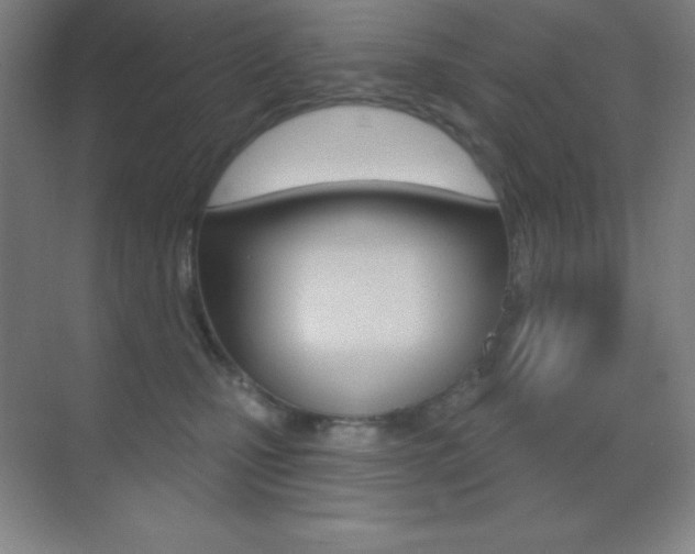 X0000070240471200606020937