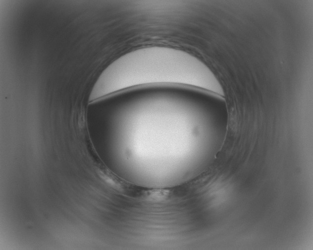 X0000070240474200606020937