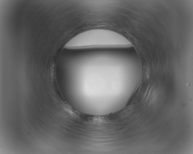 X0000070240475200606020937