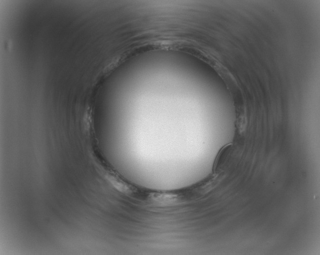 X0000070240476200606020937