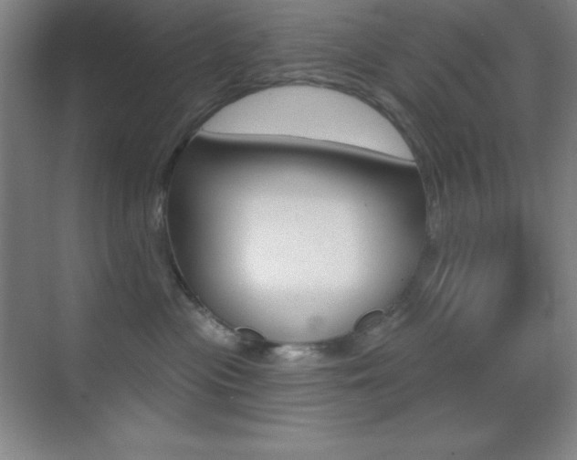 X0000070240477200606020937