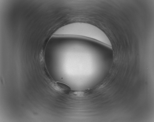 X0000070240478200606020937