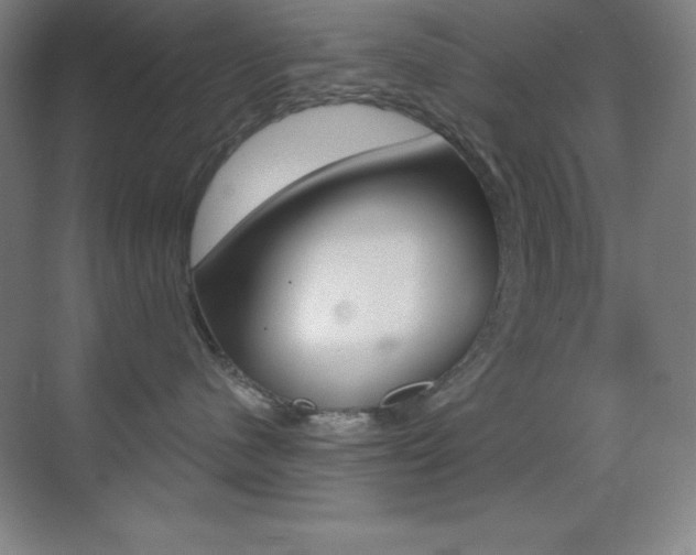 X0000070240480200606020937