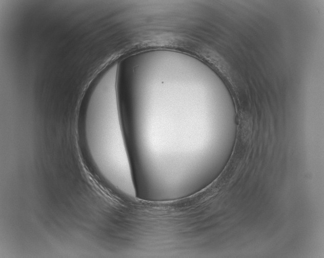 X0000070240482200606020937