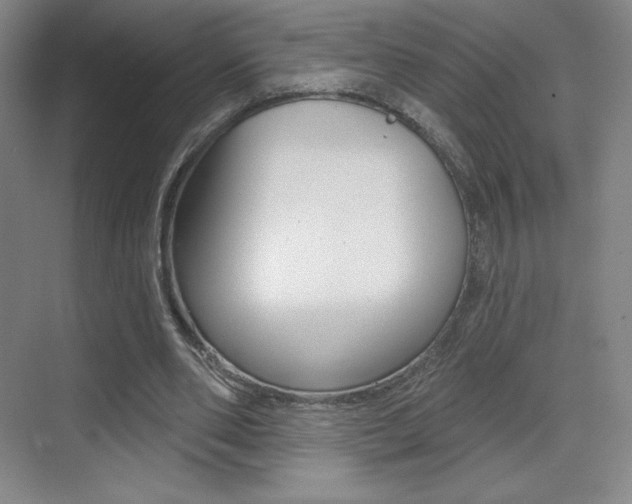X0000070240486200606020936