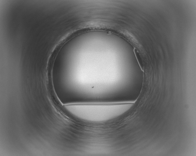 X0000070240488200606020936