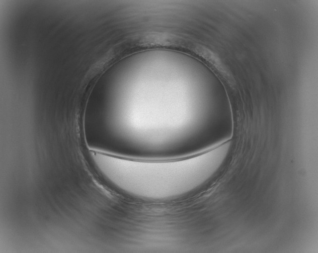 X0000070240489200606020936