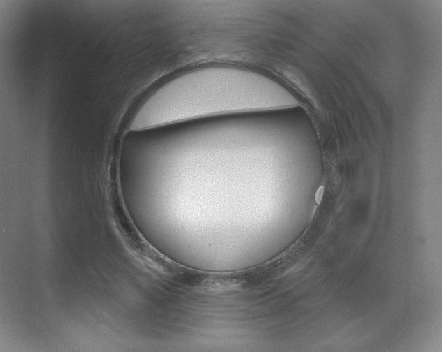 X0000070240491200606020936