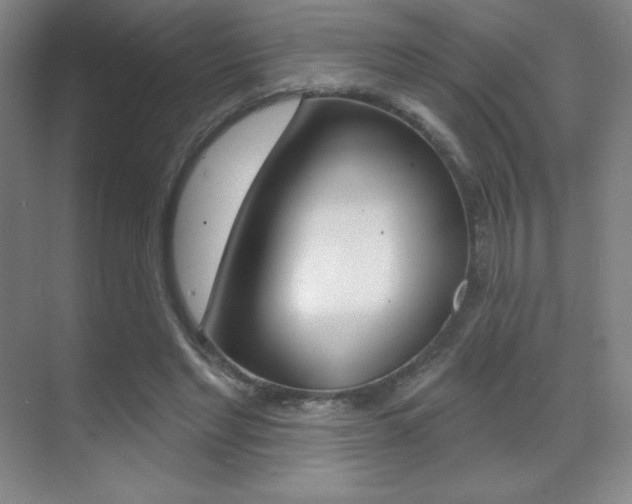 X0000070240493200606020936