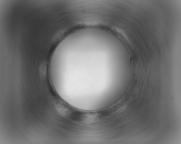 X0000070240495200606020936