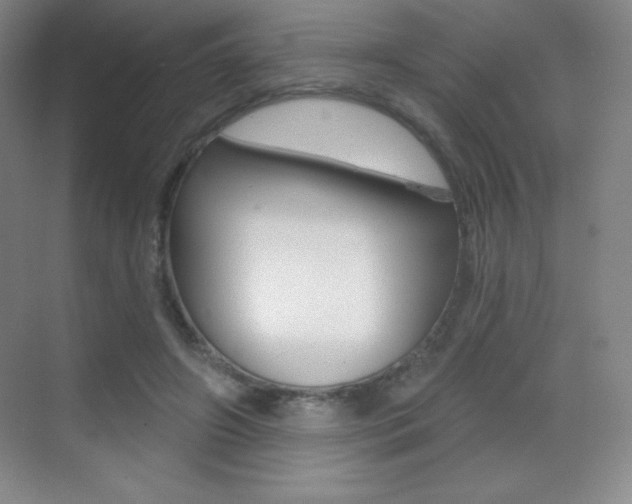 X0000070240498200606020936